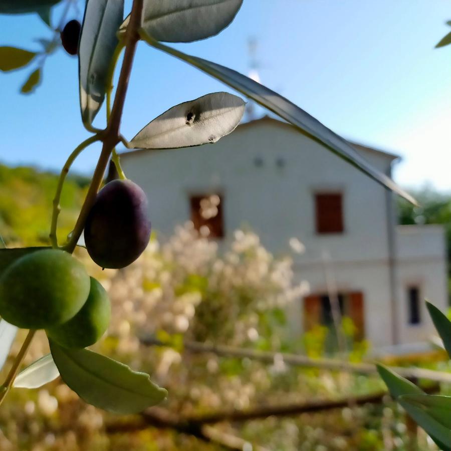 Appartamento Ca'Rosei Monteciccardo Esterno foto