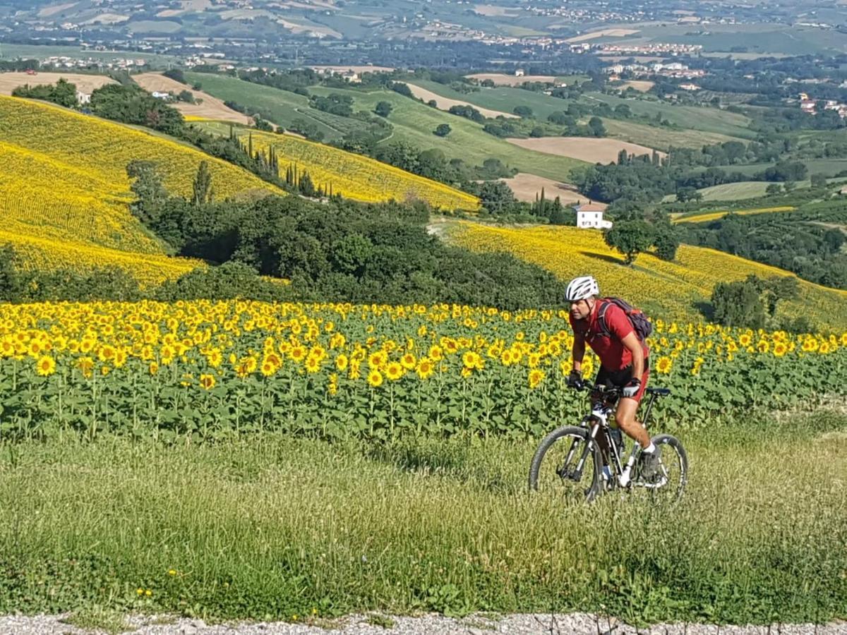 Appartamento Ca'Rosei Monteciccardo Esterno foto