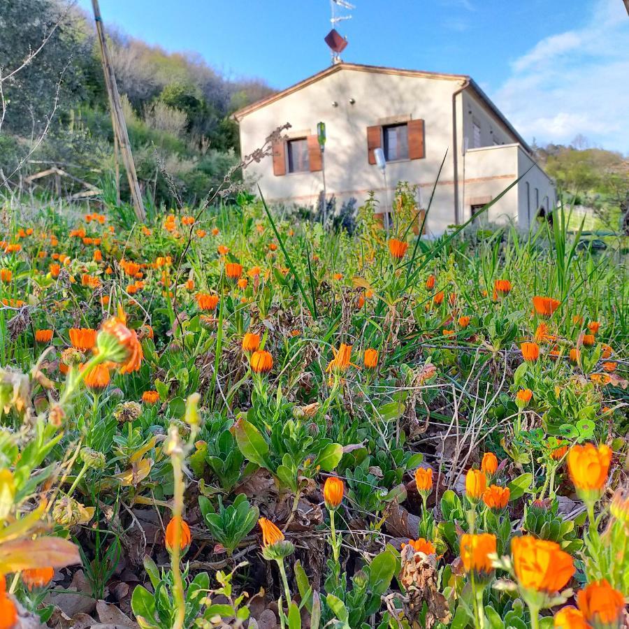 Appartamento Ca'Rosei Monteciccardo Esterno foto