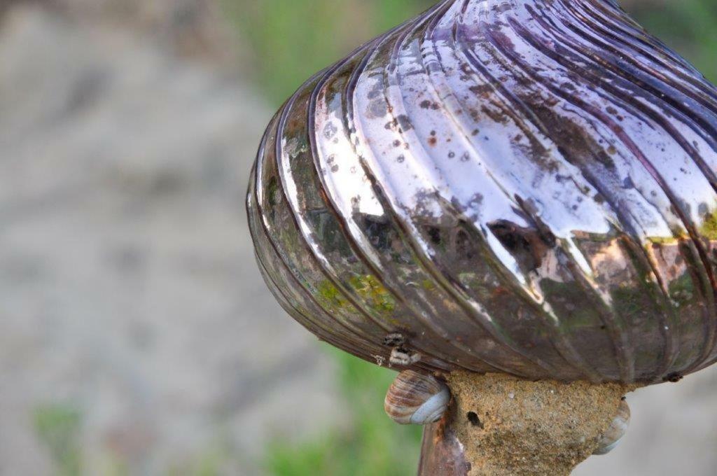 Appartamento Ca'Rosei Monteciccardo Esterno foto