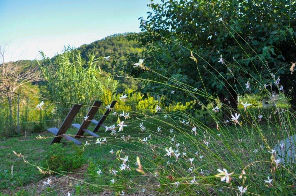 Appartamento Ca'Rosei Monteciccardo Esterno foto